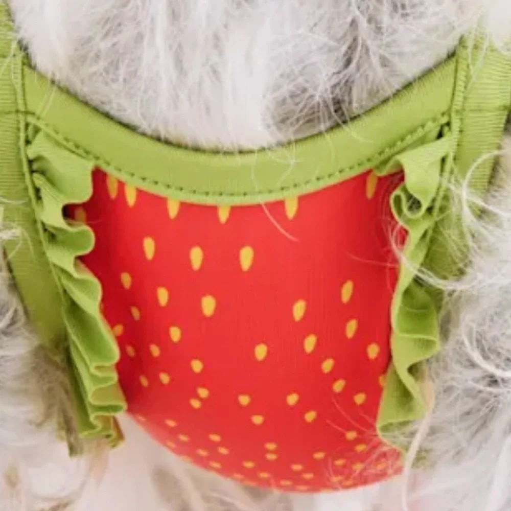 NWT strawberry dog swim bathing suit S